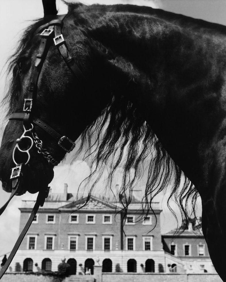 Burberry Winter 25 Campaign