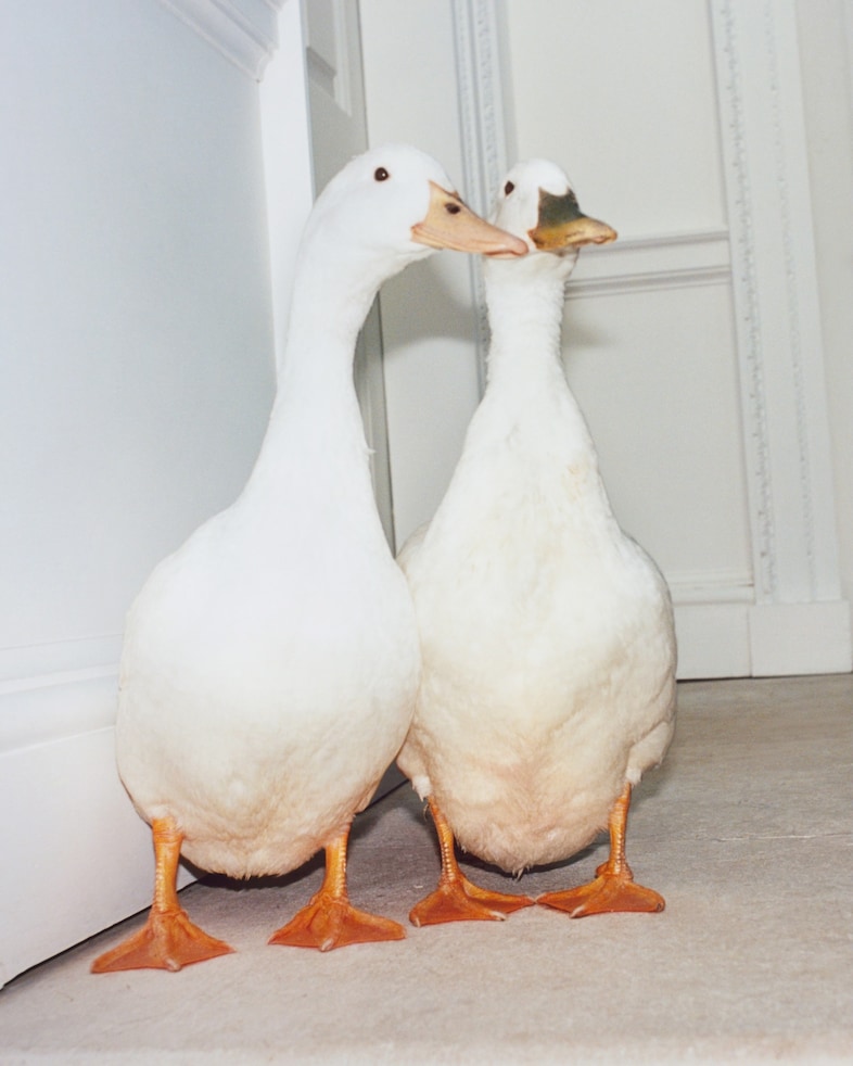 Burberry Winter 25 Campaign