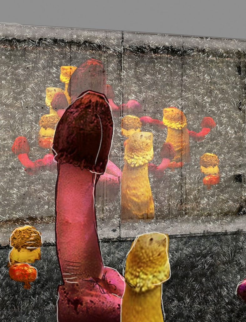 Marina Abramović in AnOther Magazine Autumn/Winter 2025