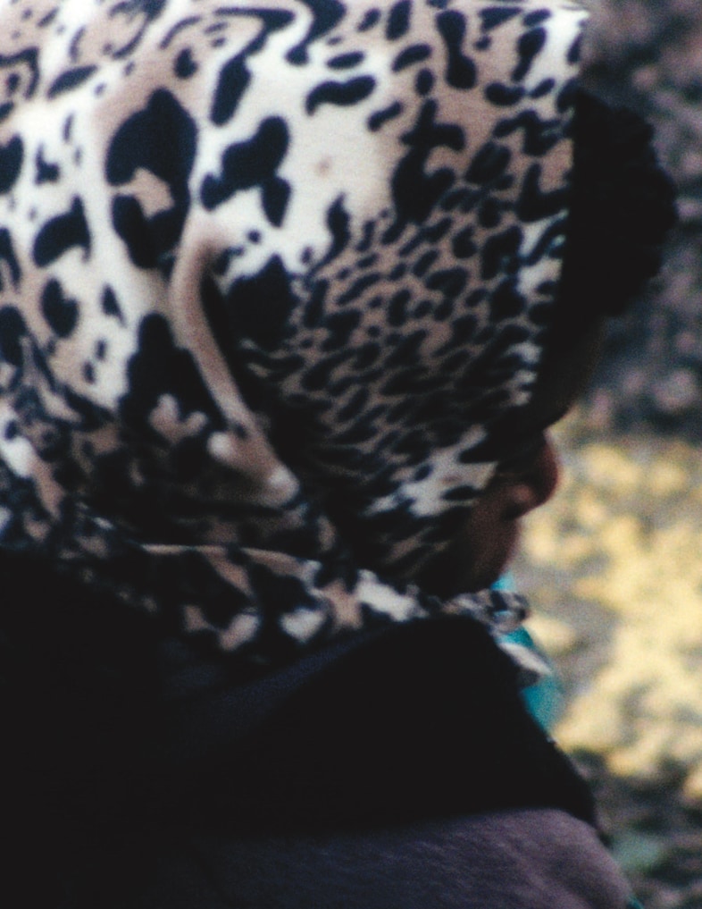 Windows by Gareth McConnell