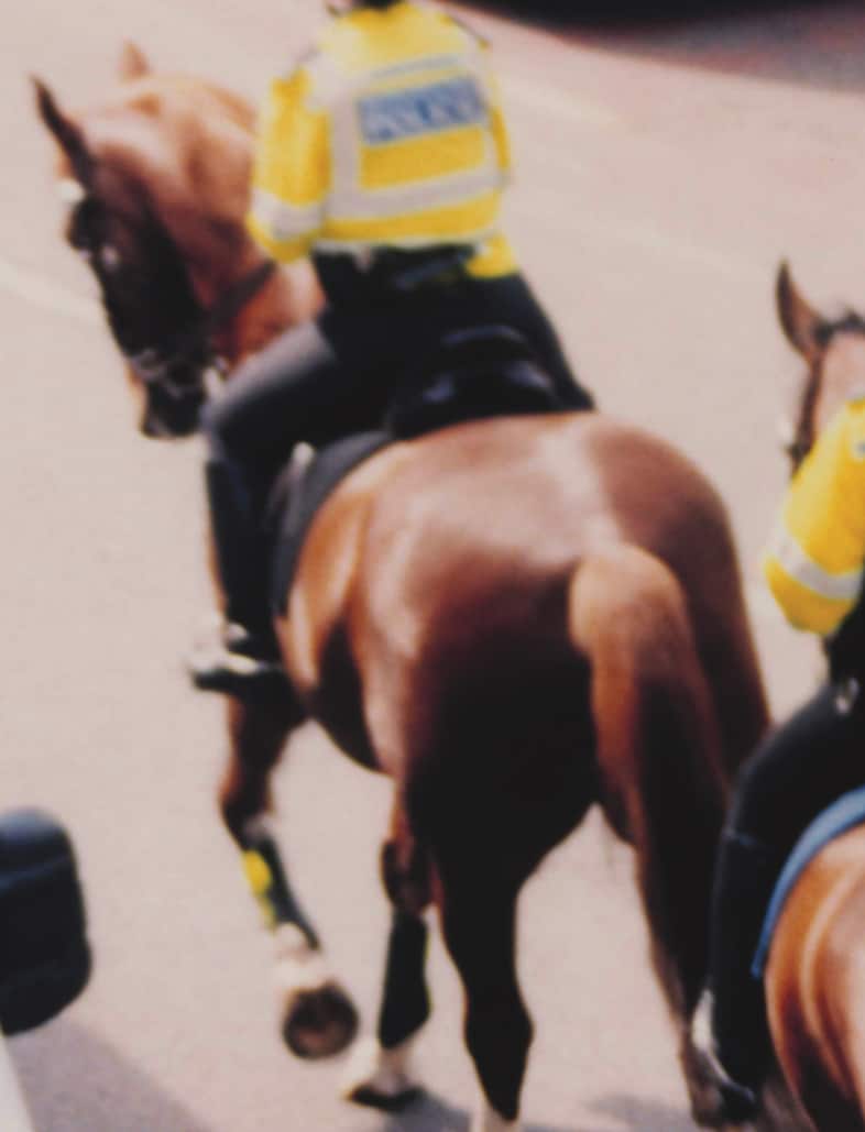 Windows by Gareth McConnell