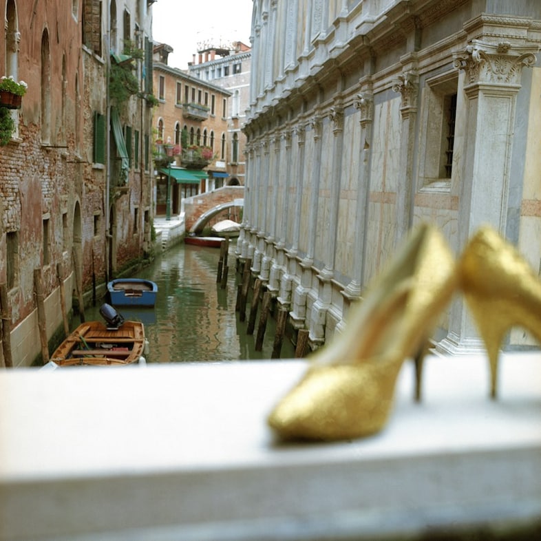 Catching Flies with Honey by Joy Gregory 