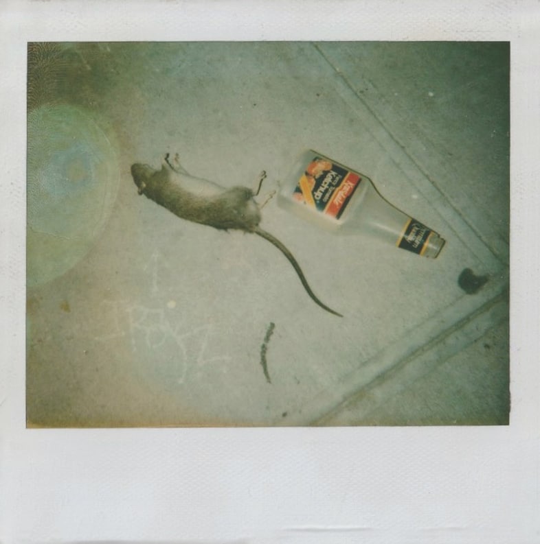 Dash Snow Polaroids New York Ryan Mcginley