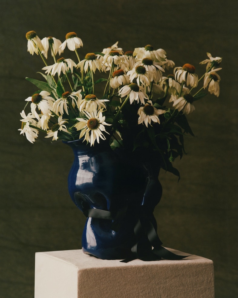 The Narcissist by Thevxlley