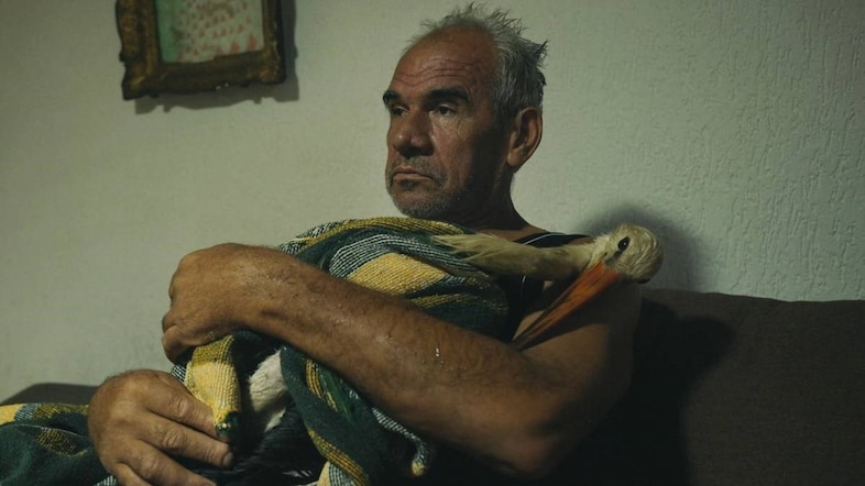 The Tale Of Silyan, 2025