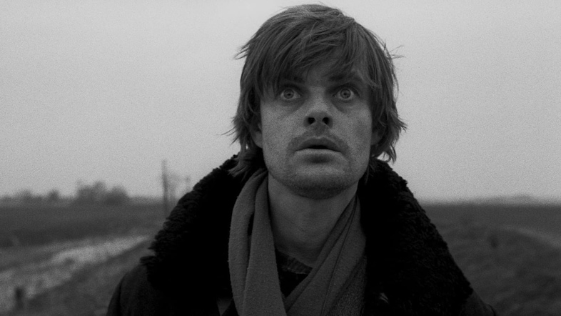 Werckmeister Harmonies, 2000