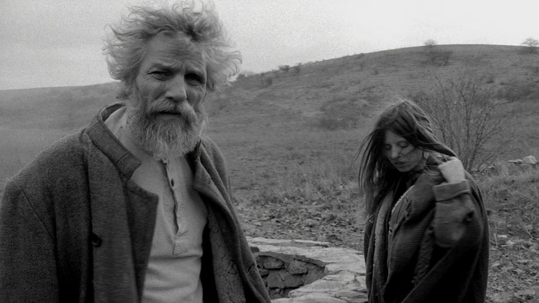 The Turin Horse, 2011