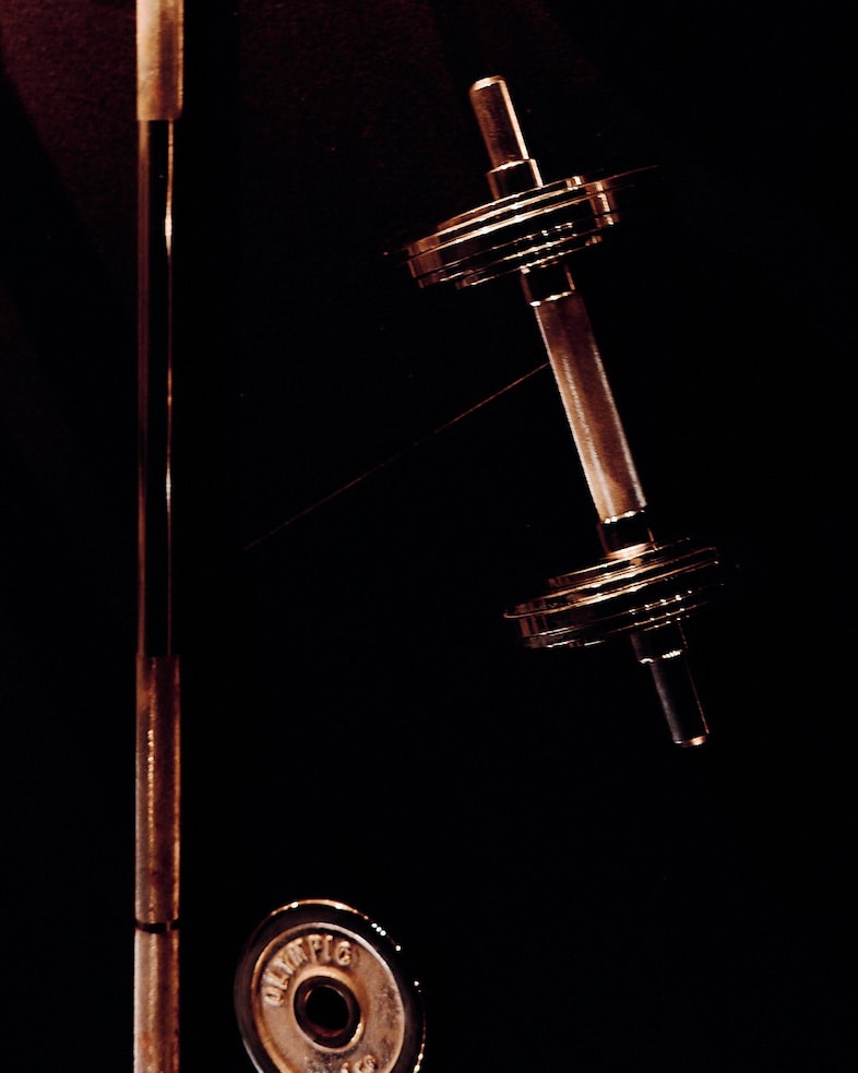 Willy Chavarria Autumn/Winter 2026