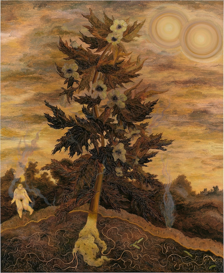 Georg Wilson, The Dream (Henbane), 2025