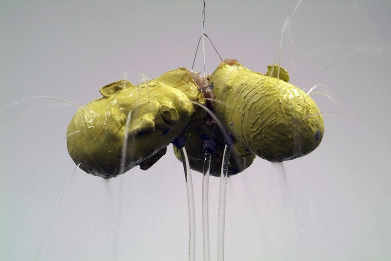 Bruce Nauman, 3 Heads Fountain (3 Andrews) (detail), 2005