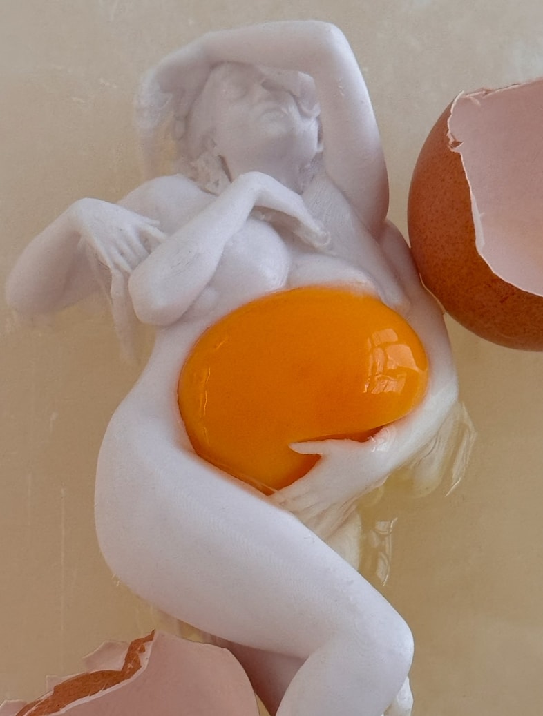 SHOWstudio 25th Anniversary