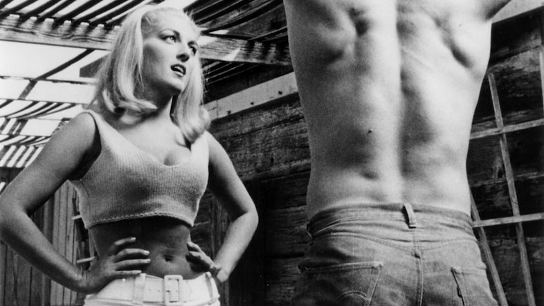 Faster, Pussycat! Kill! Kill!, 1965