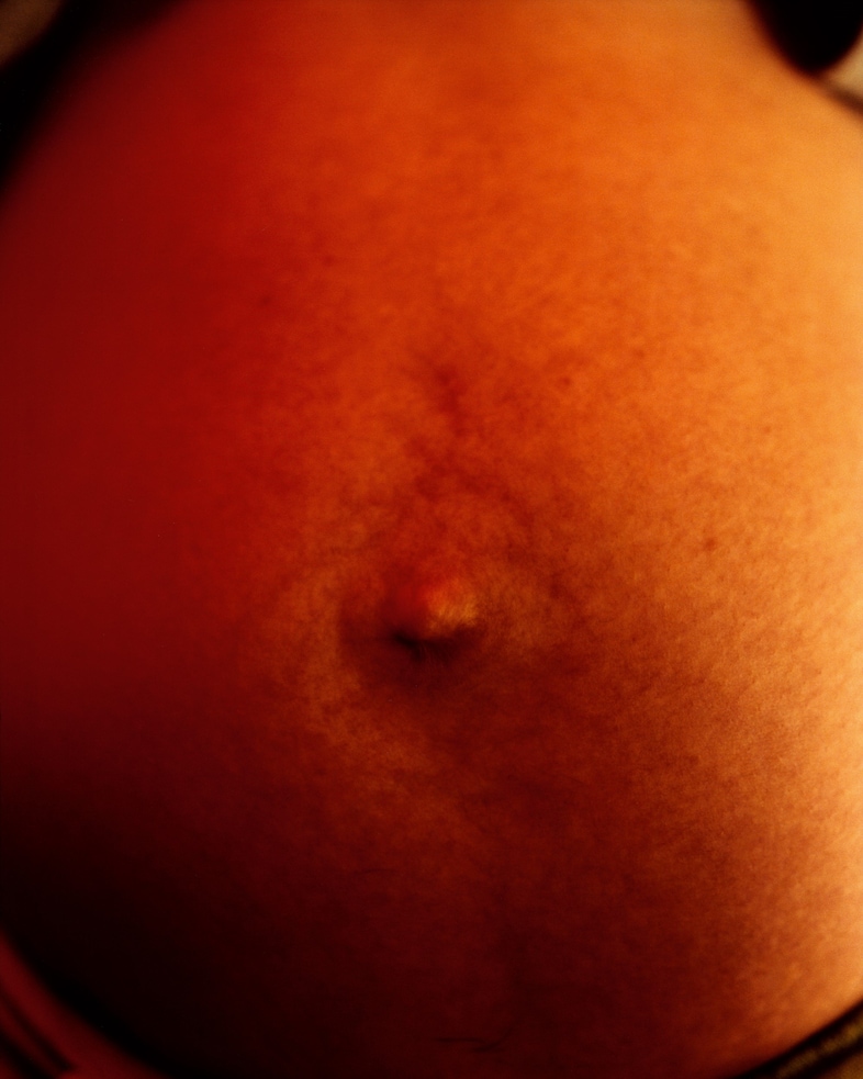 New Genesis by Abdulhamid Kircher