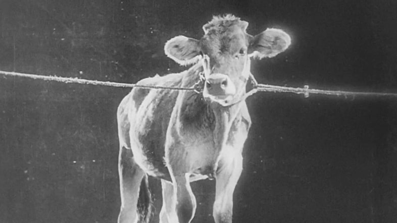 The General Line, 1929