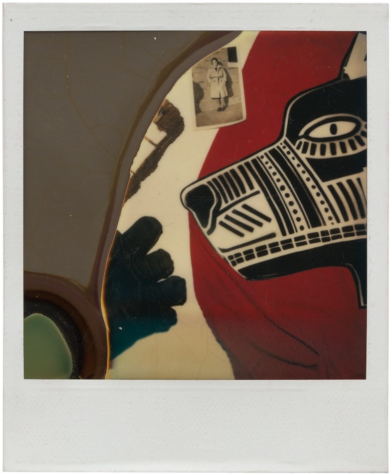 ManII05_M6_DavidWojnarowicz_23