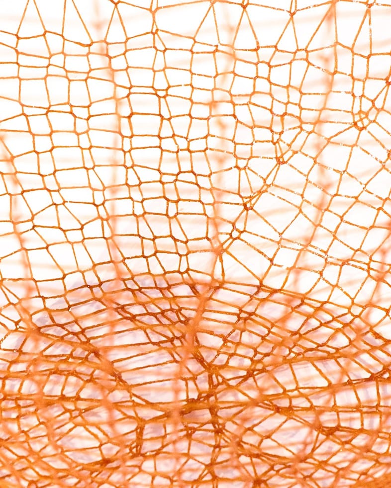 Loewe Foundation Craft Prize 2026