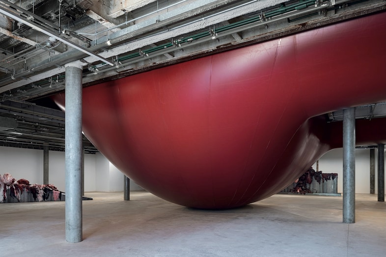 Anish Kapoor, Blinded by Eyes, Butchered by Birth, 2024
