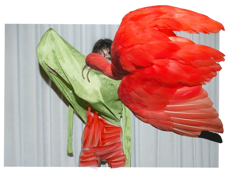 Viviane Sassen, Eudocimus Ruber, 2017 