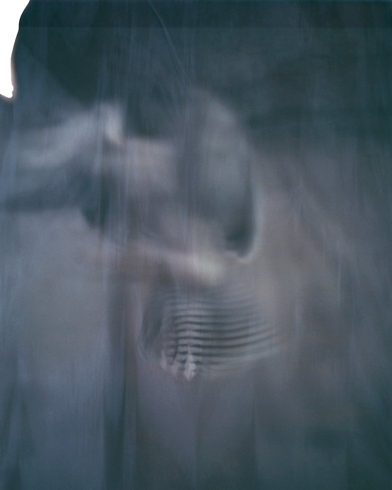 06. Fading falcon, Paris 2020. Paolo Roversi