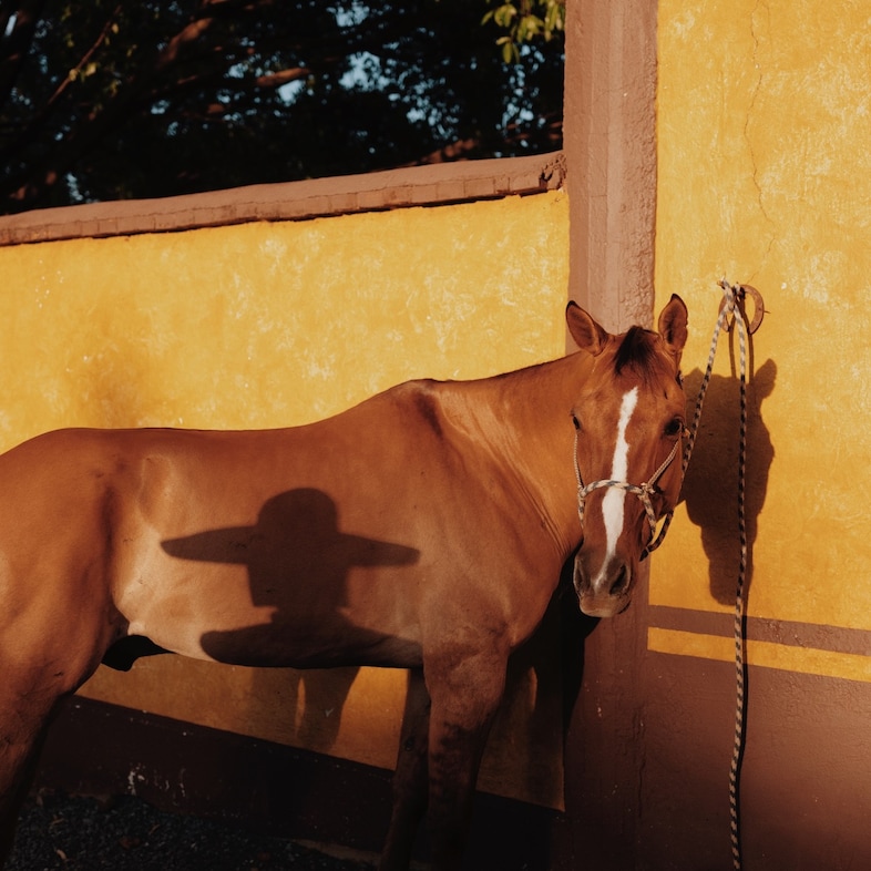 Luisa Dörr, Hacienda San José del Refugio in Amatitán, Jalis