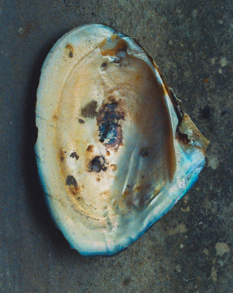Not All Venuses Are Born from the Sea by Marco Imperatore