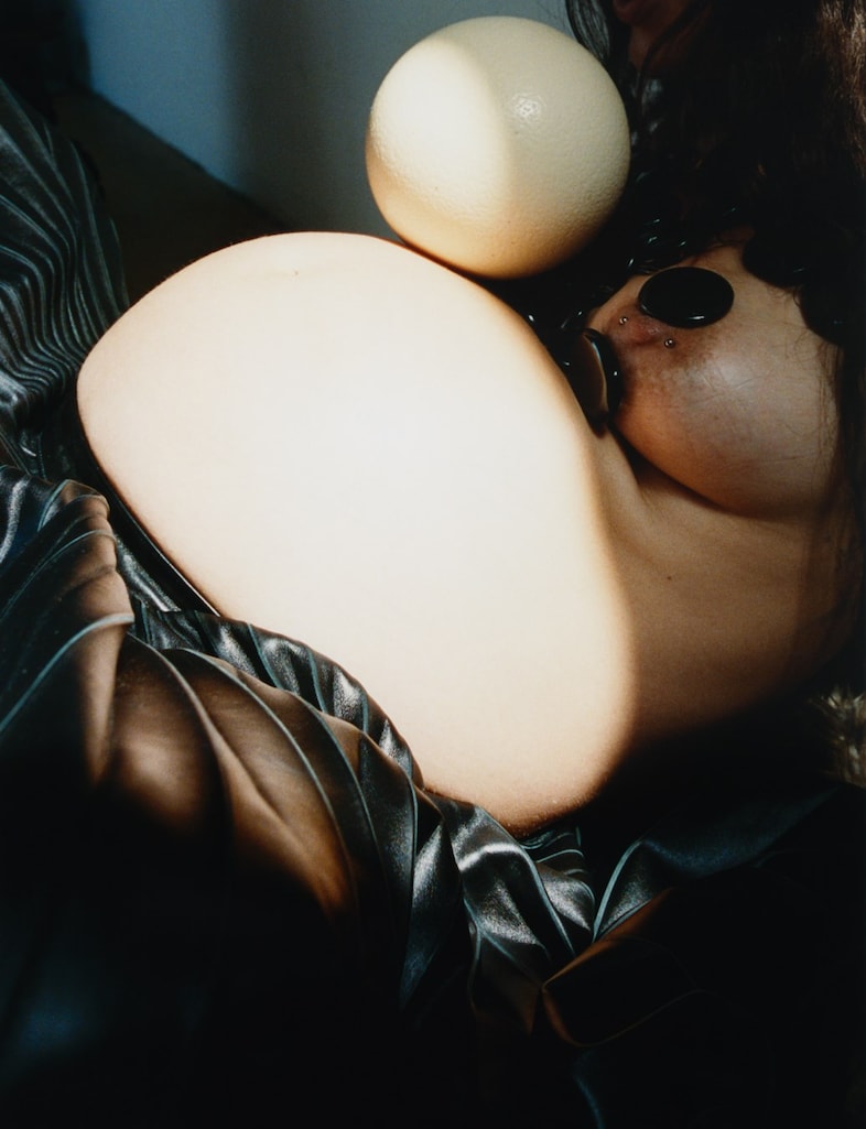 Harley Weir for AnOther Magazine Autumn/Winter 2026 Art Proj