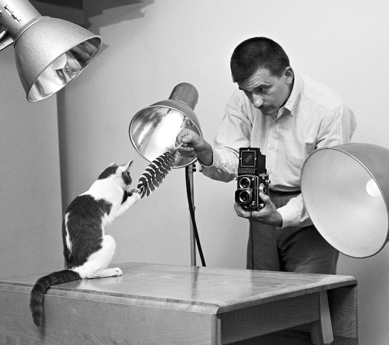 Walter Chandoha Cats Taschen Photography Book 2019 high res