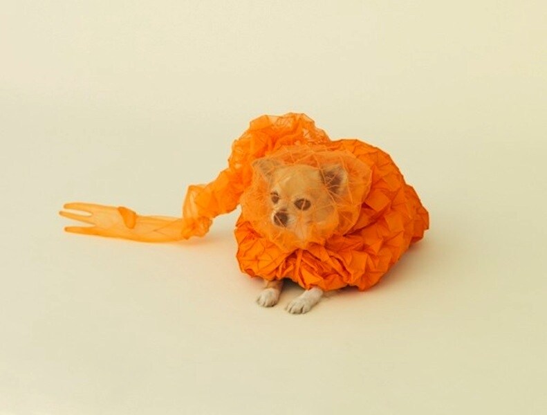 Chihuahua Cloud by Reiser and Umemoto