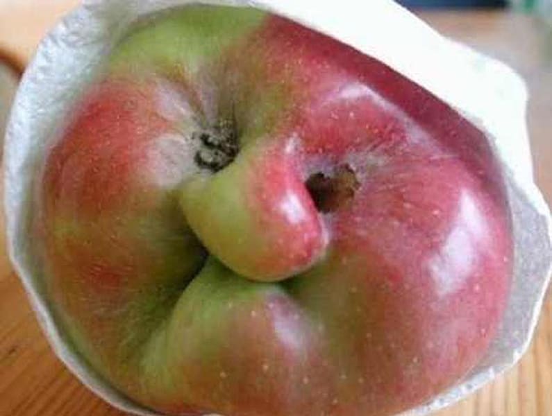 Apple face