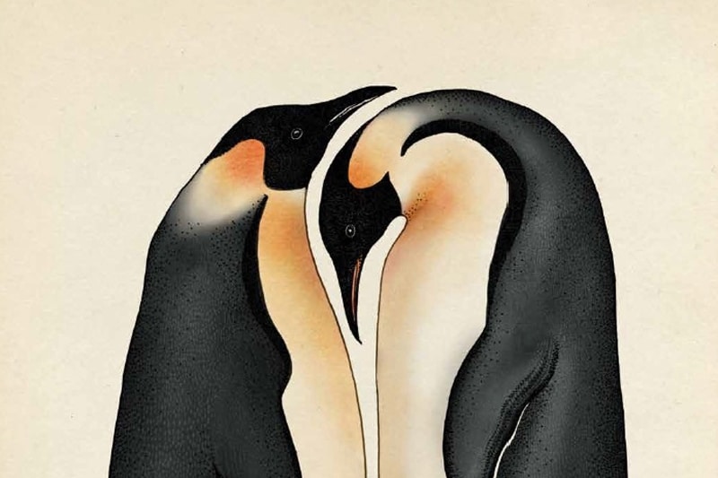 Penguins
