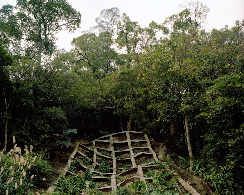 Taiwan, After The Fall