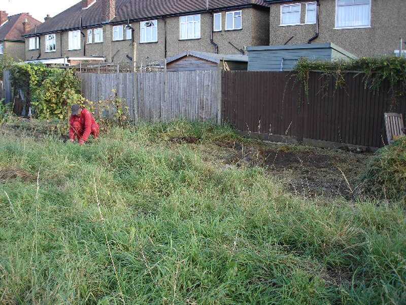 Donald clearing the site of couch grass