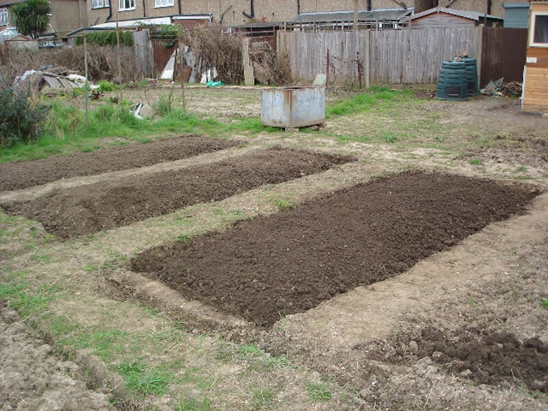 Creating planting beds