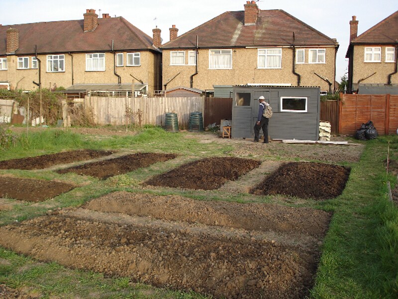 Ready for planting
