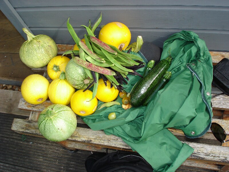 Fruits of our labour