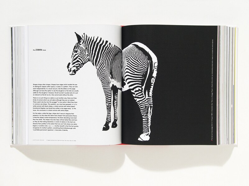 The Art of Looking Sideways, published by Phaidon Press 2001