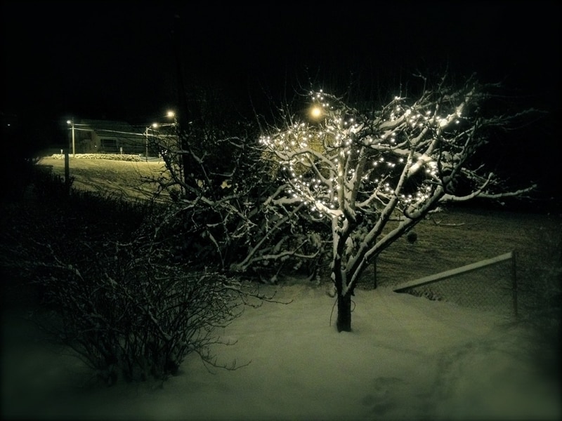 I hate this time of year by Eirik Johnsen