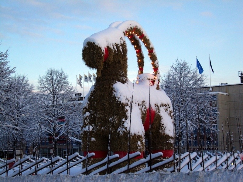 Vandalising a straw goat in G&#228;vle, Sweden