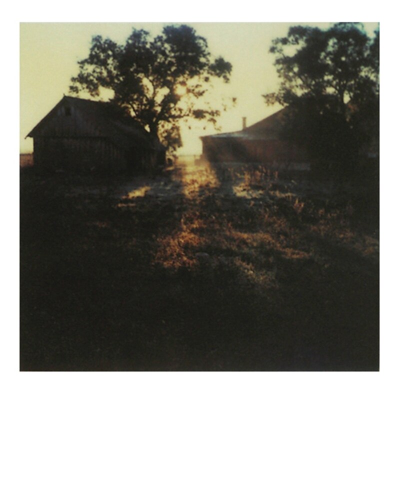 Polaroid by Andrei Tarkovsky, 1979-84