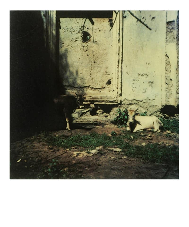 Polaroid by Andrei Tarkovsky, 1979-84