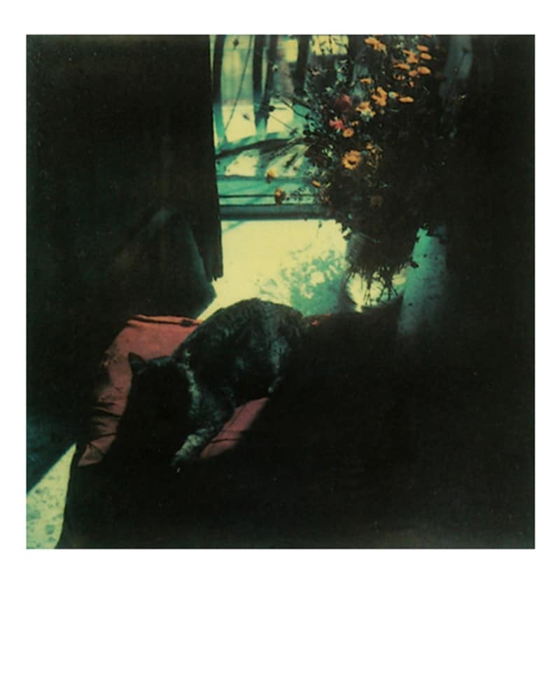 Polaroid by Andrei Tarkovsky, 1979-84