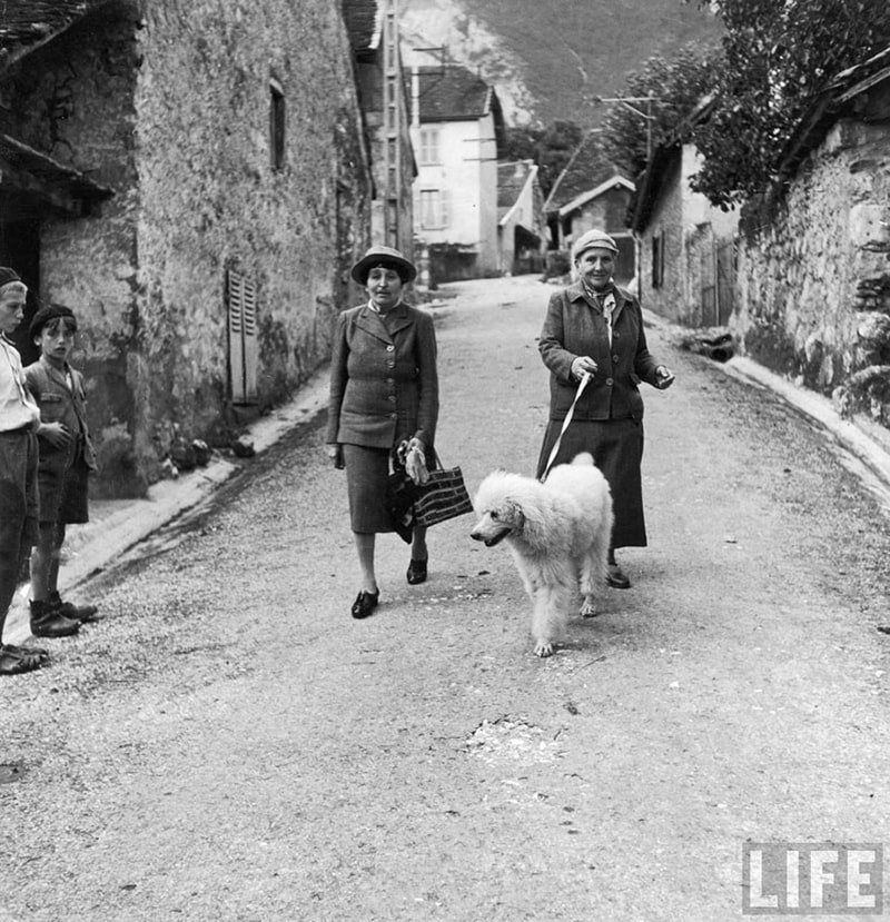 Alice B. Toklas, Gertrude Stein and Basket in LIFE Magazine,
