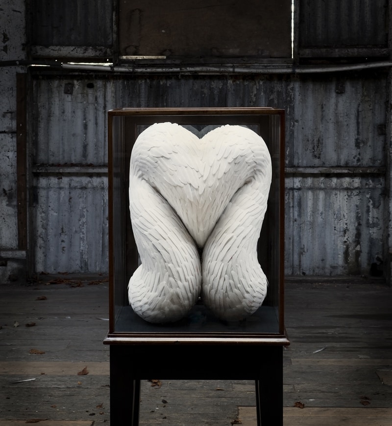 Cleave, mixed media with crow feathers, Kate McGwire, 2012