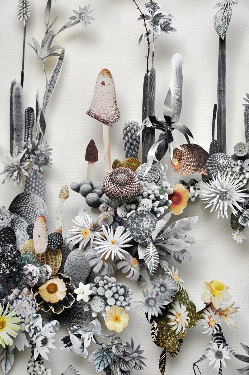 Flower construction #16 by Anne Ten Donkelaar