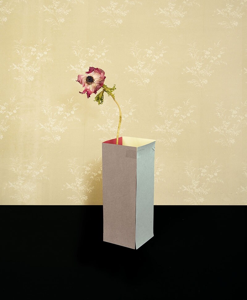 Martina Lindqvist, Murmurs, Untitled #7, 2014