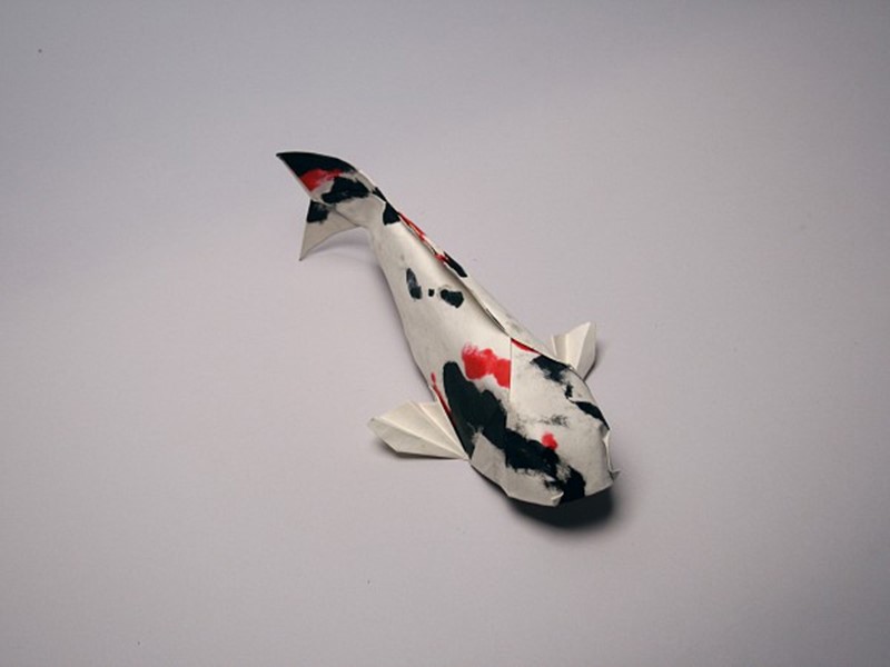 Origamido Koi Origami