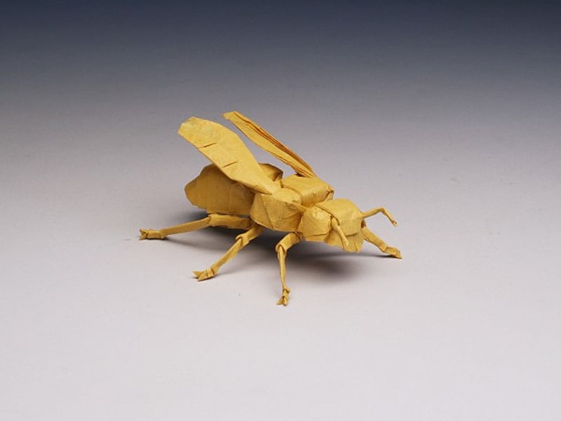 Yellow Jacket Origami