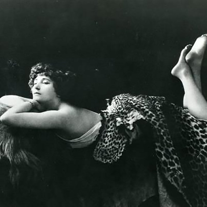 Colette 4