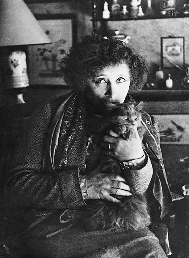 Colette Cat 1
