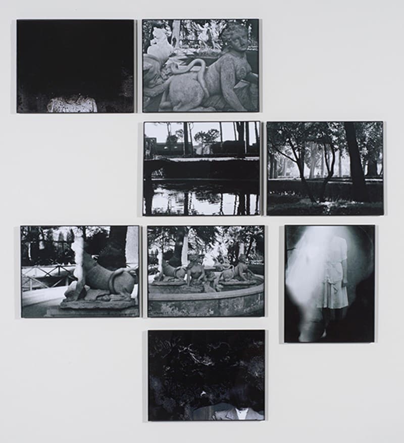 Secrets-in-the-Garden,-2014